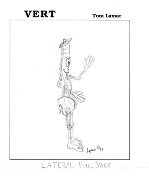 lateral-full-spine-sketch
