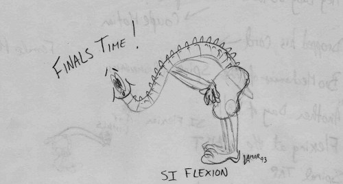 si-flexion-sketch